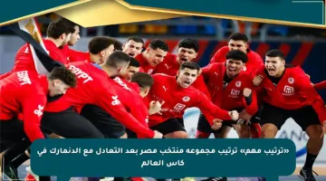 «ترتيب مهم» ترتيب مجموعة منتخب مصر بعد التعادل مع الدنمارك في كأس العالم